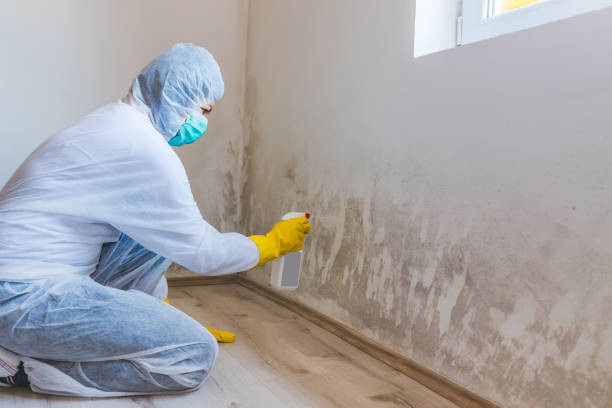 Licensed Commercial Mold Remediation service in Preston, TX - WQB Mold Removal