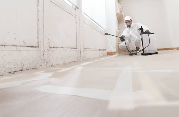 24/7 Emergency Commercial Mold Remediation experts in Preston, TX