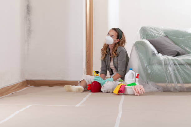 Reliable Commercial Mold Remediation contractor in Preston, TX by WQB Mold Removal