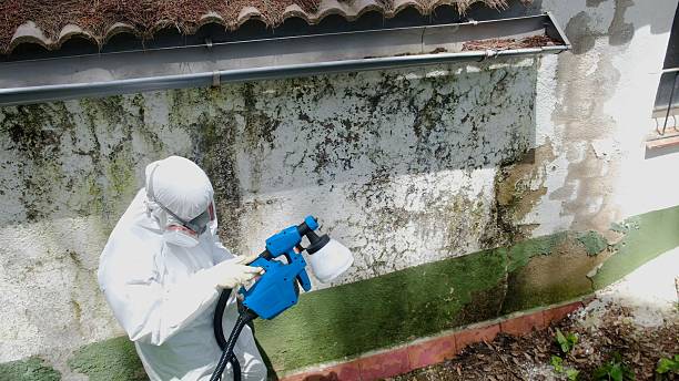 Top rated local Commercial Mold Remediation specialists in Preston, TX